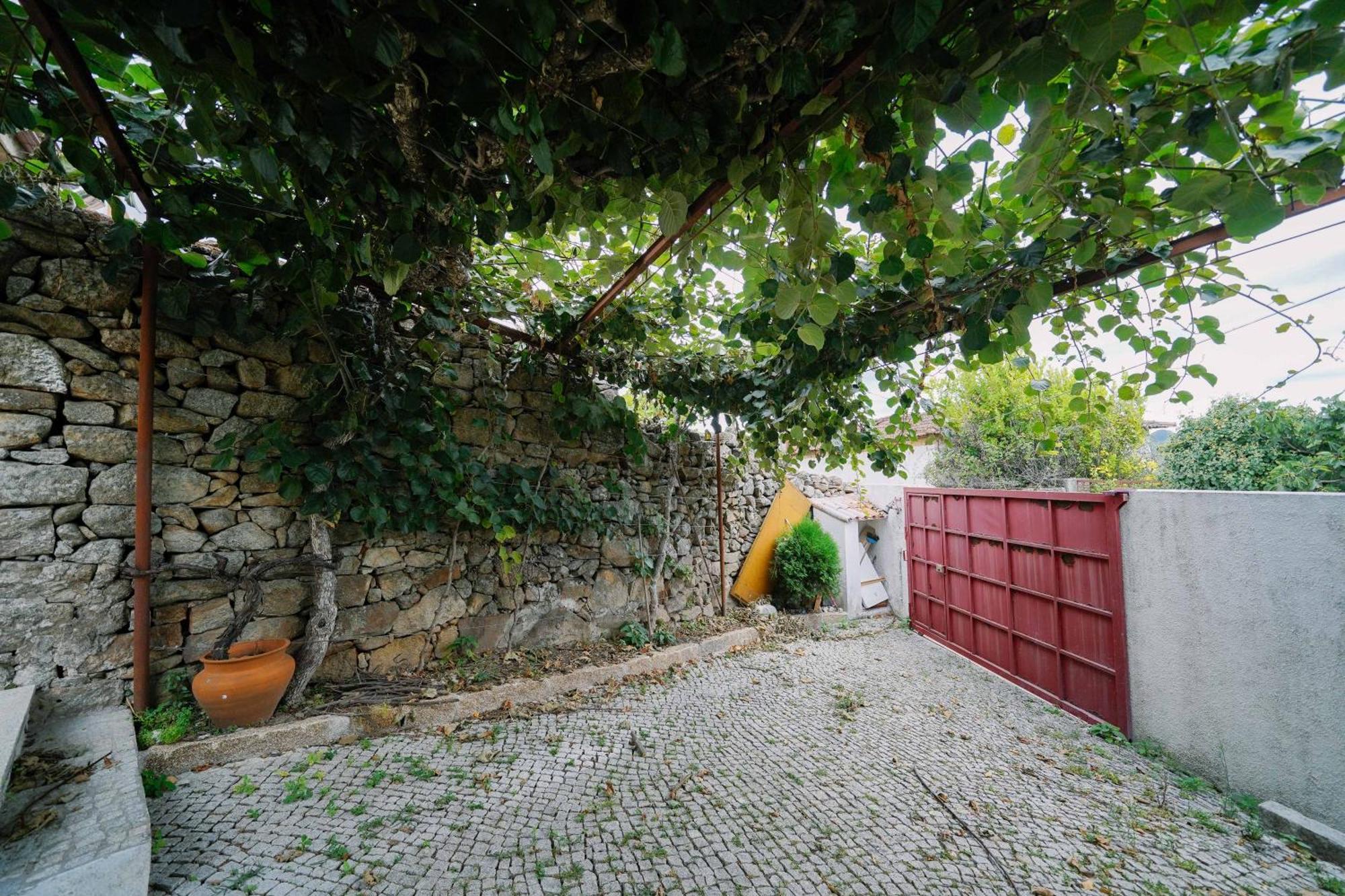 Martinho'S House Daire Alijó Dış mekan fotoğraf
