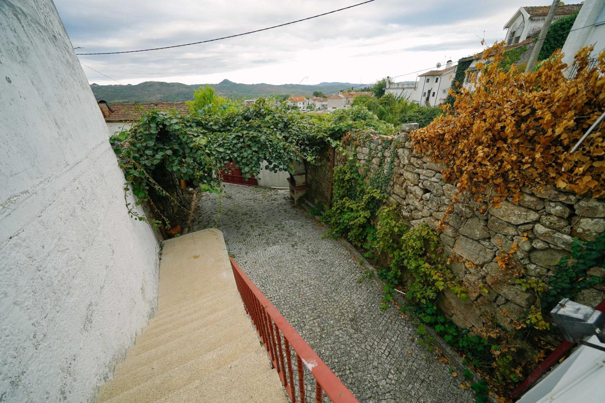 Martinho'S House Daire Alijó Dış mekan fotoğraf